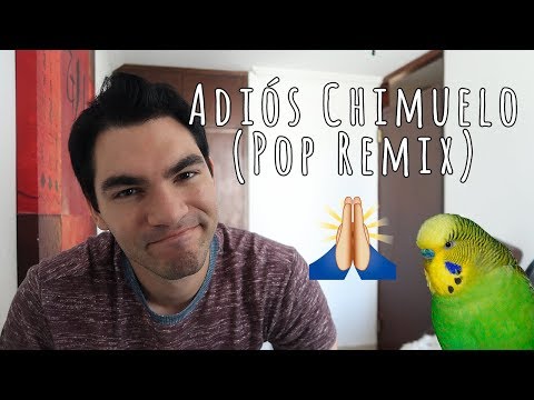 ADIÓS CHIMUELO (POP REMIX)