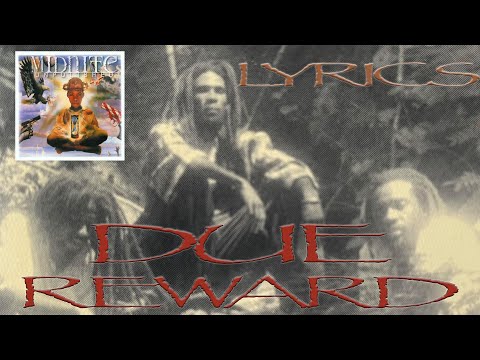 Midnite - Due Reward (Lyrics)