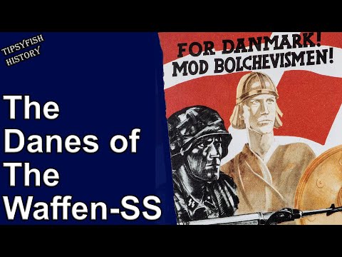 The Danish Volunteers of the Waffen-SS: Danish Free Corps