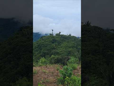 cerra de pacoti Ceará #shots