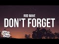 Rod Wave Don T Forget Lyrics