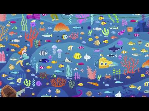 Find the sheep Video