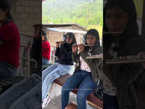 Chispita de Chocolate - Banda Filarmónica de Santiago Zoochila