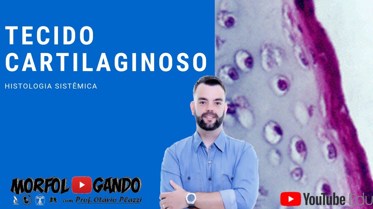 Tecido Cartilaginoso - Histologia Sistêmica - Prof. Otávio Plazzi