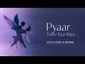 Pyaar Tune Kya Kiya LoFi Song Slow And Reverb RAHUL Lofi