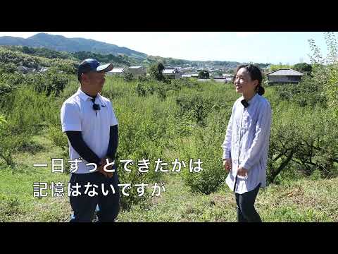 欧米言語文化学科 ようこそ城陽へ！特産物紹介ウメ