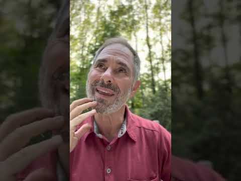 Chateau Fortia Chateauneuf du Pape 2018