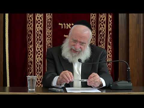 Mechila on Bein Adam L'Chaveiro | Weekly Shiur by Rav Asher Weiss Shlit"a (5785)