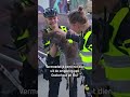 Wallaby brengt een bezoek aan festival in Nijmegen
