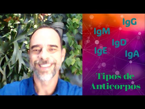 Mini vídeo: Tipos de Anticorpos