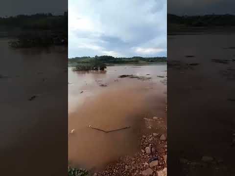 Crecida del Rio Paraná Costanera  Pto. Piray-Misiones🇦🇷 #nature #inundaciones #rain