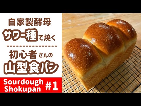 【自家製酵母/初級~中級】①サワー種で作る山型食パン Japanese Shokupan