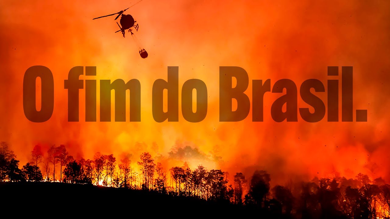 Causas e consequências dos incêndios florestais no Brasil - Guia da Floresta