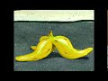 SpongeBob Patrick Slips On A Banana Peel 2