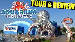 Aquarium At The Boardwalk (Branson MO) Tour & Review with The Legend