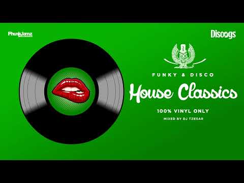Vinyl House Classics Mix  - DJ TZESAR 🌟 Disco & Funky house 🌟