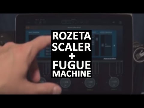 Rozeta Scaler + Fugue Machine Demo