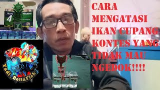 Download lagu CARA SEDERHANA MENGATASI || IKAN CUPANG KONTES || YG TIDAK MAU NGEDOK/flaring ATAU HILANG MENTAL!!! mp3 Download lagu CARA SEDERHANA MENGATASI || IKAN CUPANG KONTES || YG TIDAK MAU NGEDOK/flaring ATAU HILANG MENTAL!!! mp3