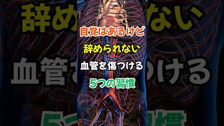 血管を傷付ける、避けるべき習慣5選！ #健康 #血管#血管内皮#生活習慣