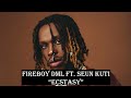 Fireboy DML Ft Seun Kuti Ecstasy 1hr Loop On NoireTV Noiretv Fireboydml Ecstasy Lyrics Fyp