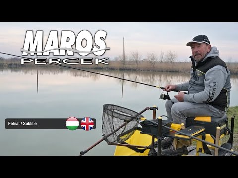 MAROS PERCEK - Erdei Attila - Hideg vízi hosszú előkés feeder horgászat