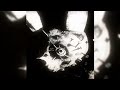 1 HOUR BAD HAPPENING FUNK ZMAJOR SLOWED REVERB FNAF EDIT
