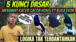 Download lagu INI DIA, 5 DASARNYA ⁉️ MERAWAT KACER JADI GACOR KONSLET DAN BUKA EKOR || TIPS KACER GACOR BUKA EKOR mp3 Download lagu INI DIA, 5 DASARNYA ⁉️ MERAWAT KACER JADI GACOR KONSLET DAN BUKA EKOR || TIPS KACER GACOR BUKA EKOR mp3