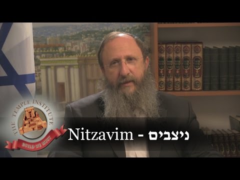 Weekly Torah Portion: Nitzavim/Rosh HaShana Greeting