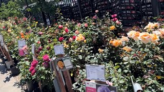 Another Nursery Tour!