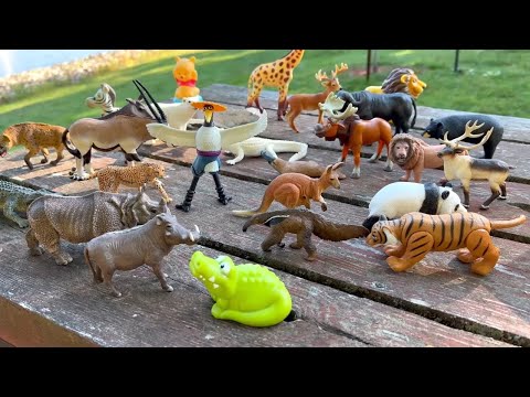 Wild Zoo Animal Toys at the Park! Outdoor Toy Collection for Kids 🦒🦁🌳
