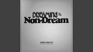 Dreaming in the Non-Dream (Edit)