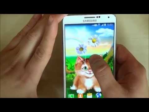 Kitten Live Wallpaper Video