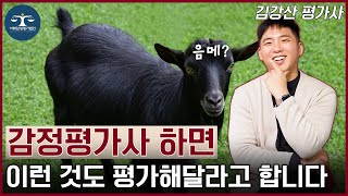 흑염소도 감정평가하는 사람