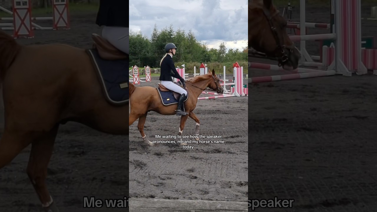 The REMIX 🪩 #horse #horses #equestrian #riding #funny #trending #shorts #horseriding #viral #fun