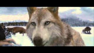 Twilight Saga/Blow/Kesha