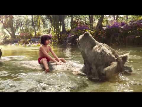 Kniha džunglí 2016 - Moudrost medvědí HD