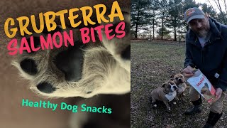 GrubTerra Salmon Snacks For Dogs (Discount Included)
