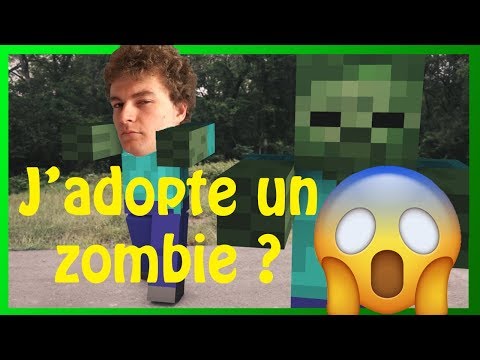 J'AI ADOPTE UN ZOMBIE (et il s'appelle zgurg)