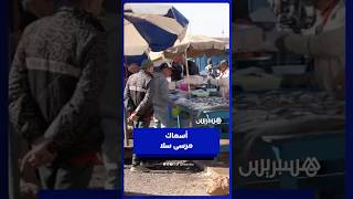 استقرار الأحوال الجوية ينعكس إيجابا على جودة وأسعار الأسماك بمرسى سلا thumbnail