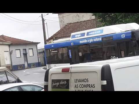 STCP Linha 805 Veiculo 3142 em 1 de MAIO DE 2020