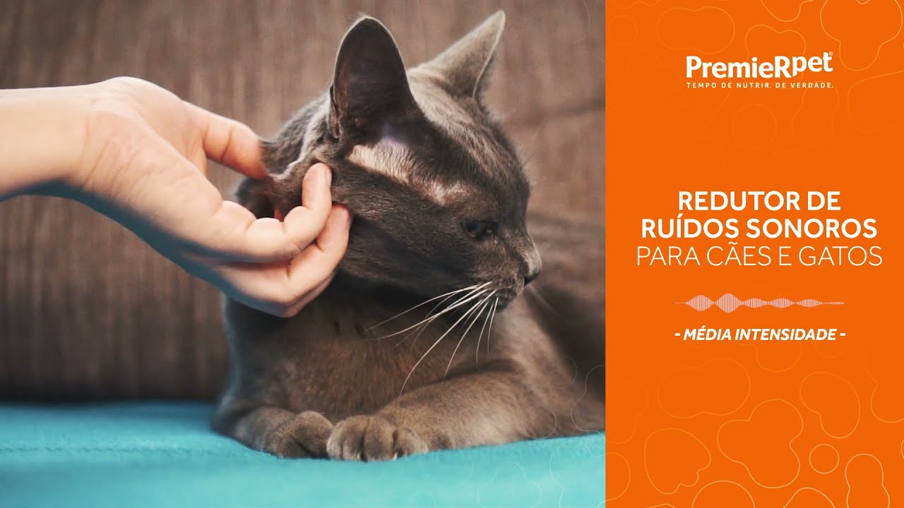 thumbnail video youtube