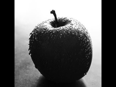 Grzybowe Melodie- Ballada w Rytmie Dzins