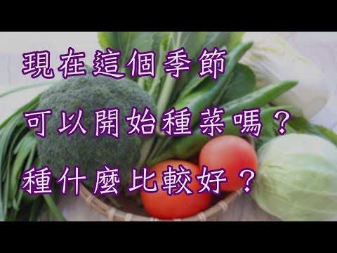 現在可以種什麼