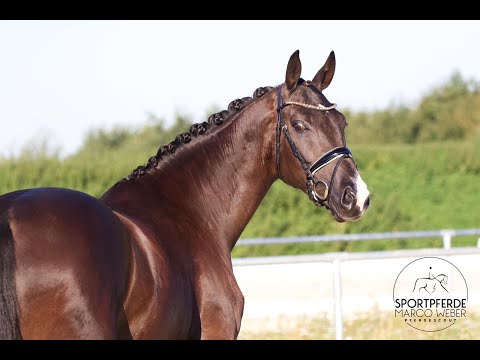 Wallach von Dohnanyi *2019
