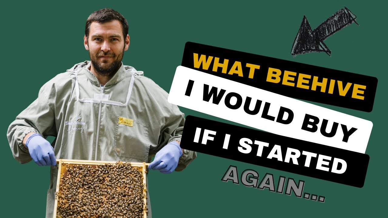 The Perfect Beehive - How To Choose The Best Hive For Your Bees