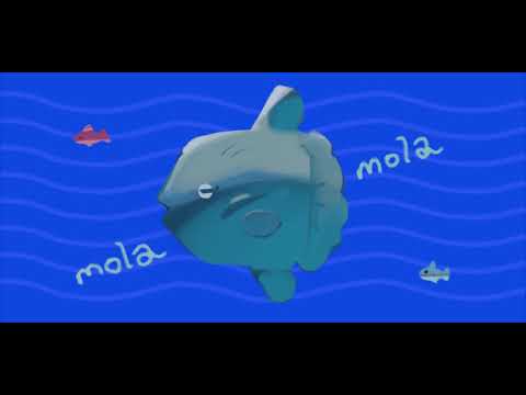Video thumbnail for ​mola mola