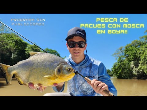 PESCA MUY DIVERTIDA EN GOYA DE PECES OMNIVOROS CON MOSCA!!