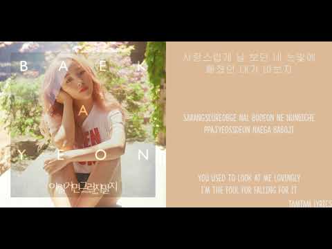 Shouldn't Have - Baek Ah Yeon X Young K Lyrics [Han,Rom,Eng]