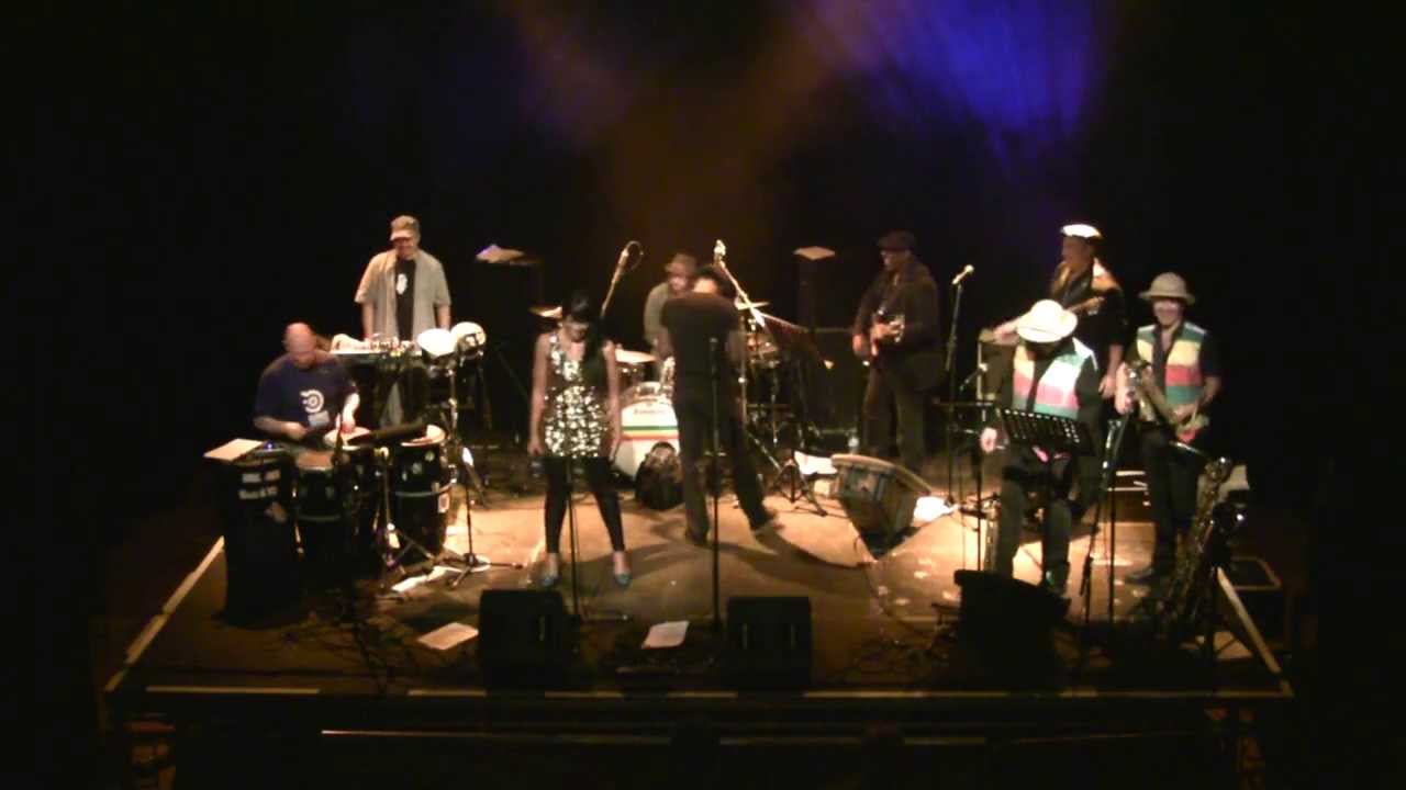 This Is Not A Dub Song – live in Cambridge 2012