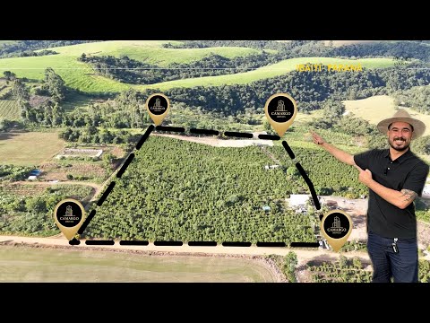 CHÁCARA COM VISTA PANORÂMICA E CAFÉ PRODUZINDO EM PINHALÃO PARANÁ  R$350 MIL